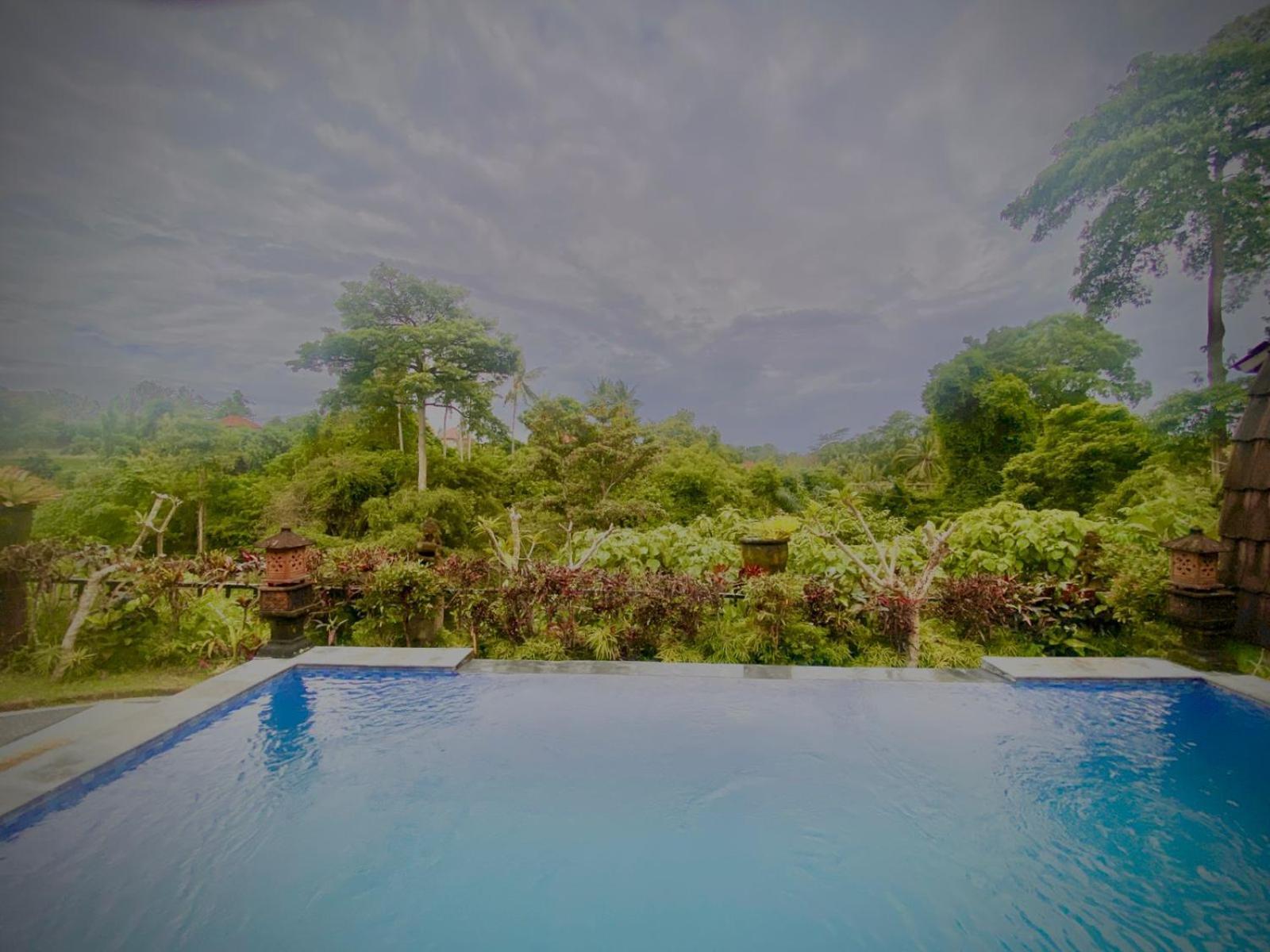 Villa Big Tree House Ubud