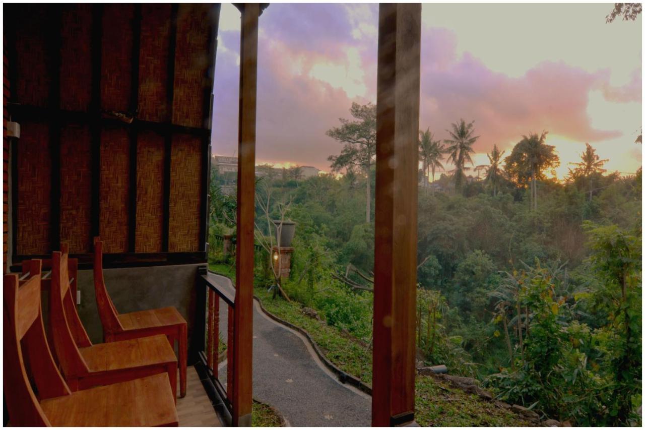 Villa Big Tree House